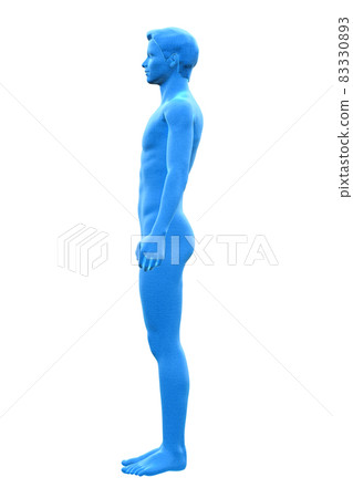 Male body body, body, 3D 83330893