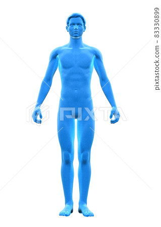 男性身體,身體,3D 男性身體,身體,3D 83330899