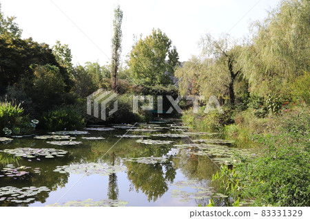 莫奈的花園睡蓮 高知縣北川村四國 83331329