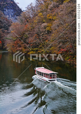 Autumn leaves of the Imperial Gorge 83332104