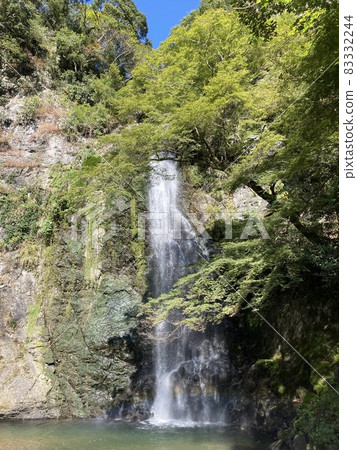 Minoh山步行，美麗的綠色藍天瀑布 83332244