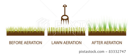 Lawn aeration. Gardening grass lawn care, landscaping service 83332747