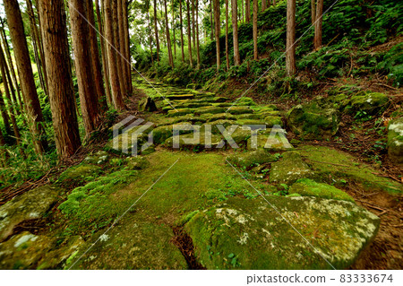 Hadasucho Road (stone pavement in the Kamakura period) [Atashika-cho, Kumano City, Mie Prefecture] 83333674