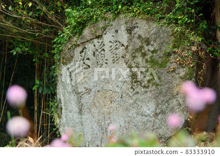 人物搖滾“忍”[三重縣熊野市安足鹿町] 83333910