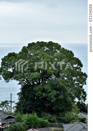 Xu Fukunomiya [Atashika-cho, Kumano City, Mie Prefecture] 83334088