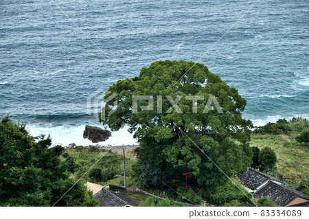 Xu Fukunomiya [Atashika-cho, Kumano City, Mie Prefecture] 83334089