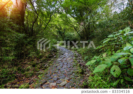 鵝卵石公路箱根舊公路 83334516