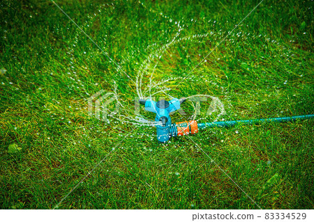 Spraying water on the green lawn early in the morning .Texture or background Spraying water on the green lawn early in the morning .Texture or background 83334529
