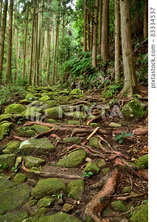 小吹埼口舊路（Hadasucho 一側）[三重縣熊野市安足鹿町] 83334537