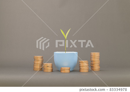 concept of stacked coins Finance to grow income, invest in stocks, trade, save money concept of stacked coins Finance to grow income, invest in stocks, trade, save money 83334978