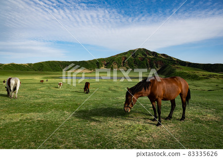 藍天、馬和草千里 83335626