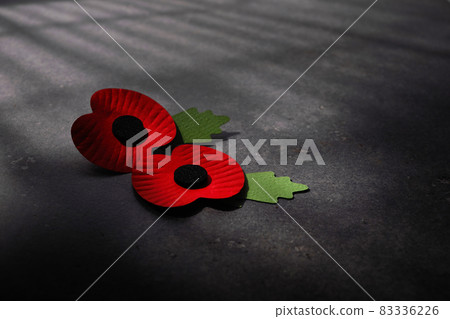 World War remembrance day. Red poppy is symbol of remembrance to those fallen in war. Red poppies on dark stone background 83336226