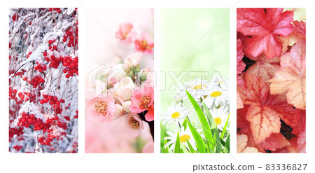Four seasons of year Four seasons of year 83336827