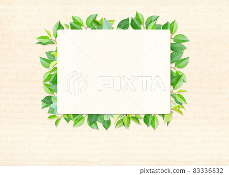 Green leaves and rectangular paper label on cardboard texture. Horizontal banner with eco paper texture Green leaves and rectangular paper label on cardboard texture. Horizontal banner with eco paper texture 83336832