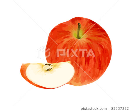 Watercolor vector illustration of cut apples 83337222