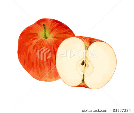 Watercolor vector illustration of cut apples 83337224