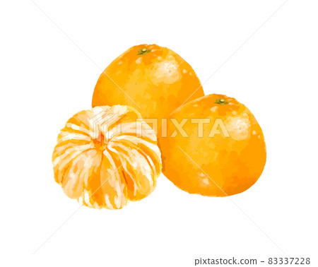 一組去皮橙子和普通橙子水彩矢量圖 83337228
