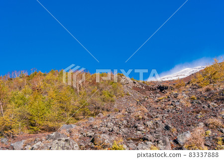 (靜岡縣)富士山富士宮口第5站 從會永長廊上眺望白雪皚皚的山峰 (靜岡縣)富士山富士宮口第5站 從會永長廊上眺望白雪皚皚的山峰 83337888