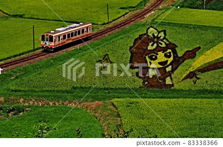 Rice field art 83338366