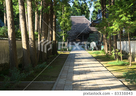 [Shikoku 88 temples] No. 29 Tosa Kokubunji approach and main hall, Nankoku City, Kochi Prefecture 83338843