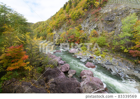 赤岩青峽的紅葉盛開（北海道Shimukappu） 83339569