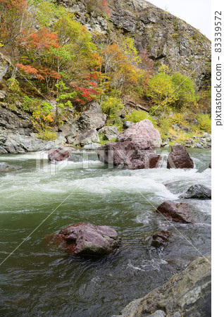 Autumn leaves of Akaiwa Aoikyo Gorge in full bloom (Shimukappu, Hokkaido) Autumn leaves of Akaiwa Aoikyo Gorge in full bloom (Shimukappu, Hokkaido) 83339572