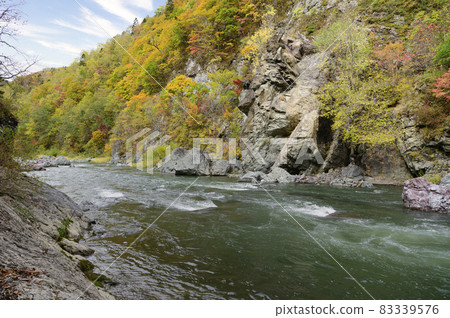 Autumn leaves of Akaiwa Aoikyo Gorge in full bloom (Shimukappu, Hokkaido) Autumn leaves of Akaiwa Aoikyo Gorge in full bloom (Shimukappu, Hokkaido) 83339576