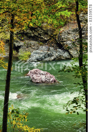 Autumn leaves of Akaiwa Aoikyo Gorge in full bloom (Shimukappu, Hokkaido) Autumn leaves of Akaiwa Aoikyo Gorge in full bloom (Shimukappu, Hokkaido) 83339578
