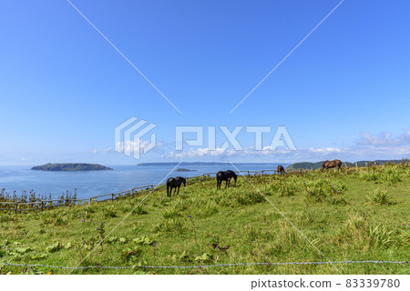 位於北海道東部厚岸市的 Ayamegahara 的景色 83339780