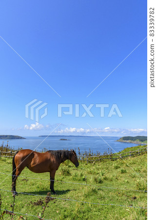 View of Ayamegahara in Akkeshi, eastern Hokkaido 83339782