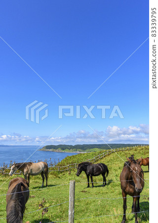 View of Ayamegahara in Akkeshi, eastern Hokkaido View of Ayamegahara in Akkeshi, eastern Hokkaido 83339795