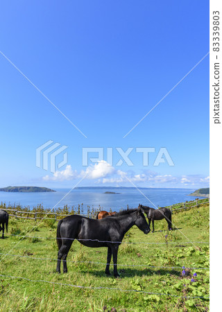 位於北海道東部厚岸市的 Ayamegahara 的景色 位於北海道東部厚岸市的 Ayamegahara 的景色 83339803