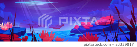 Coral reef ocean or sea underwater background 83339817