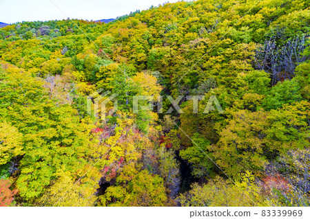 Urabandai "Nakatsugawa Valley" during the fall foliage season Scenery from Nakatsugawa Bridge Kitashiobara Village, Fukushima Prefecture Urabandai "Nakatsugawa Valley" during the fall foliage season Scenery from Nakatsugawa Bridge Kitashiobara Village, Fukushima Prefecture 83339969
