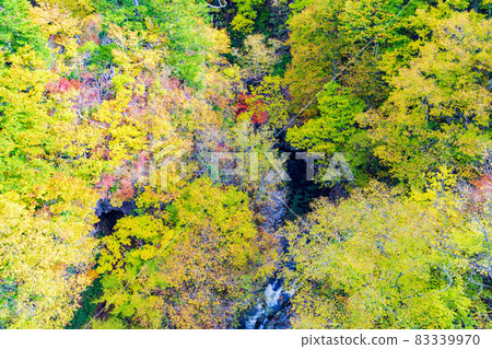紅葉季節的里磐梯「中津川溪谷」 福島縣中津川橋北鹽原村的風景 紅葉季節的里磐梯「中津川溪谷」 福島縣中津川橋北鹽原村的風景 83339970