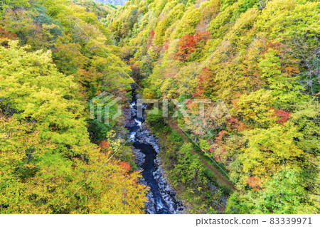 Urabandai "Nakatsugawa Valley" during the fall foliage season Scenery from Nakatsugawa Bridge Kitashiobara Village, Fukushima Prefecture Urabandai "Nakatsugawa Valley" during the fall foliage season Scenery from Nakatsugawa Bridge Kitashiobara Village, Fukushima Prefecture 83339971