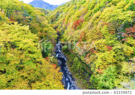 Urabandai "Nakatsugawa Valley" during the fall foliage season Scenery from Nakatsugawa Bridge Kitashiobara Village, Fukushima Prefecture Urabandai "Nakatsugawa Valley" during the fall foliage season Scenery from Nakatsugawa Bridge Kitashiobara Village, Fukushima Prefecture 83339972
