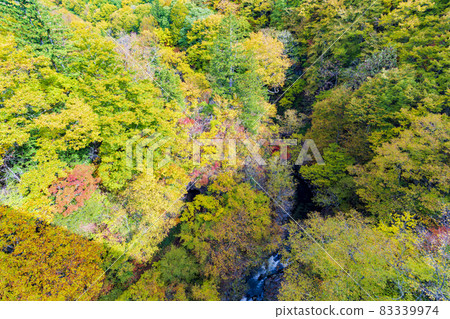紅葉季節的里磐梯「中津川溪谷」 福島縣中津川橋北鹽原村的風景 紅葉季節的里磐梯「中津川溪谷」 福島縣中津川橋北鹽原村的風景 83339974