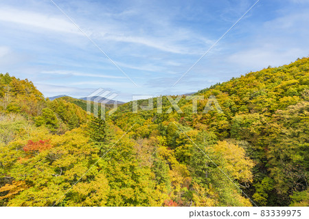 Urabandai "Nakatsugawa Valley" during the fall foliage season Scenery from Nakatsugawa Bridge Kitashiobara Village, Fukushima Prefecture Urabandai "Nakatsugawa Valley" during the fall foliage season Scenery from Nakatsugawa Bridge Kitashiobara Village, Fukushima Prefecture 83339975