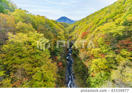 Urabandai "Nakatsugawa Valley" during the fall foliage season Scenery from Nakatsugawa Bridge Kitashiobara Village, Fukushima Prefecture Urabandai "Nakatsugawa Valley" during the fall foliage season Scenery from Nakatsugawa Bridge Kitashiobara Village, Fukushima Prefecture 83339977