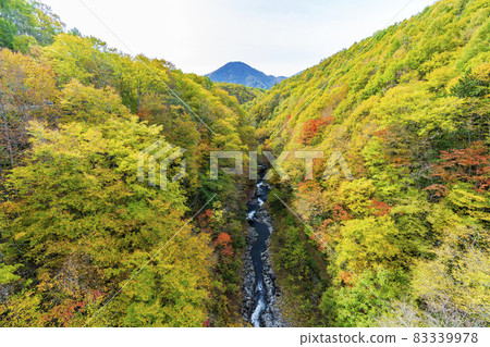 紅葉季節的里磐梯「中津川溪谷」 福島縣中津川橋北鹽原村的風景 紅葉季節的里磐梯「中津川溪谷」 福島縣中津川橋北鹽原村的風景 83339978