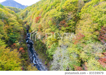 Urabandai "Nakatsugawa Valley" during the fall foliage season Scenery from Nakatsugawa Bridge Kitashiobara Village, Fukushima Prefecture Urabandai "Nakatsugawa Valley" during the fall foliage season Scenery from Nakatsugawa Bridge Kitashiobara Village, Fukushima Prefecture 83339979