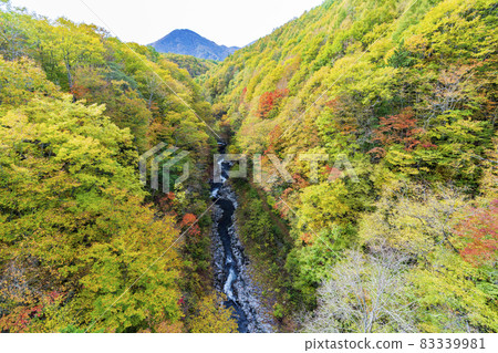 紅葉季節的里磐梯「中津川溪谷」 福島縣中津川橋北鹽原村的風景 紅葉季節的里磐梯「中津川溪谷」 福島縣中津川橋北鹽原村的風景 83339981