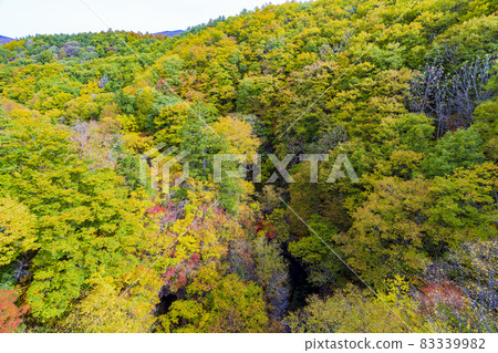 Urabandai "Nakatsugawa Valley" during the fall foliage season Scenery from Nakatsugawa Bridge Kitashiobara Village, Fukushima Prefecture Urabandai "Nakatsugawa Valley" during the fall foliage season Scenery from Nakatsugawa Bridge Kitashiobara Village, Fukushima Prefecture 83339982