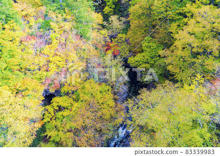 紅葉季節的里磐梯「中津川溪谷」 福島縣中津川橋北鹽原村的風景 83339983