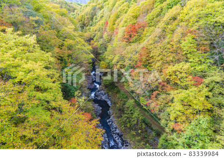 紅葉季節的里磐梯「中津川溪谷」 福島縣中津川橋北鹽原村的風景 83339984