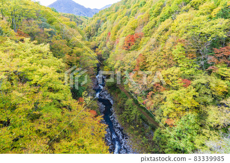 Urabandai "Nakatsugawa Valley" during the fall foliage season Scenery from Nakatsugawa Bridge Kitashiobara Village, Fukushima Prefecture Urabandai "Nakatsugawa Valley" during the fall foliage season Scenery from Nakatsugawa Bridge Kitashiobara Village, Fukushima Prefecture 83339985