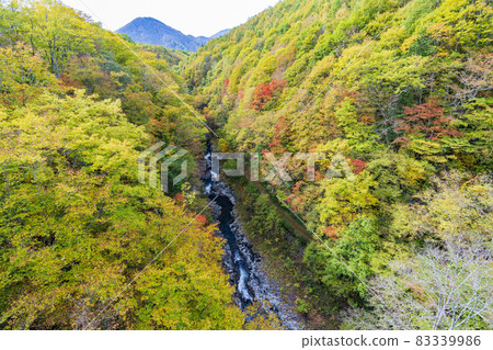 Urabandai "Nakatsugawa Valley" during the fall foliage season Scenery from Nakatsugawa Bridge Kitashiobara Village, Fukushima Prefecture Urabandai "Nakatsugawa Valley" during the fall foliage season Scenery from Nakatsugawa Bridge Kitashiobara Village, Fukushima Prefecture 83339986