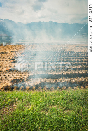 秋天的稻田燒烤【安曇野】 83340816