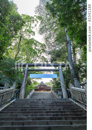 香川縣琴平町初秋的琴平宮 83341189